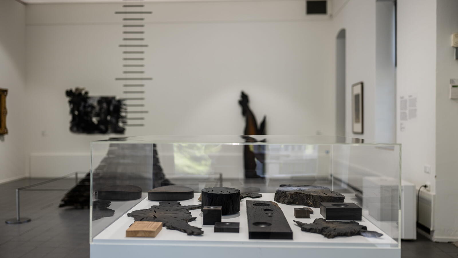 In een glazen vitrine liggen voorwerpen van donker hout.