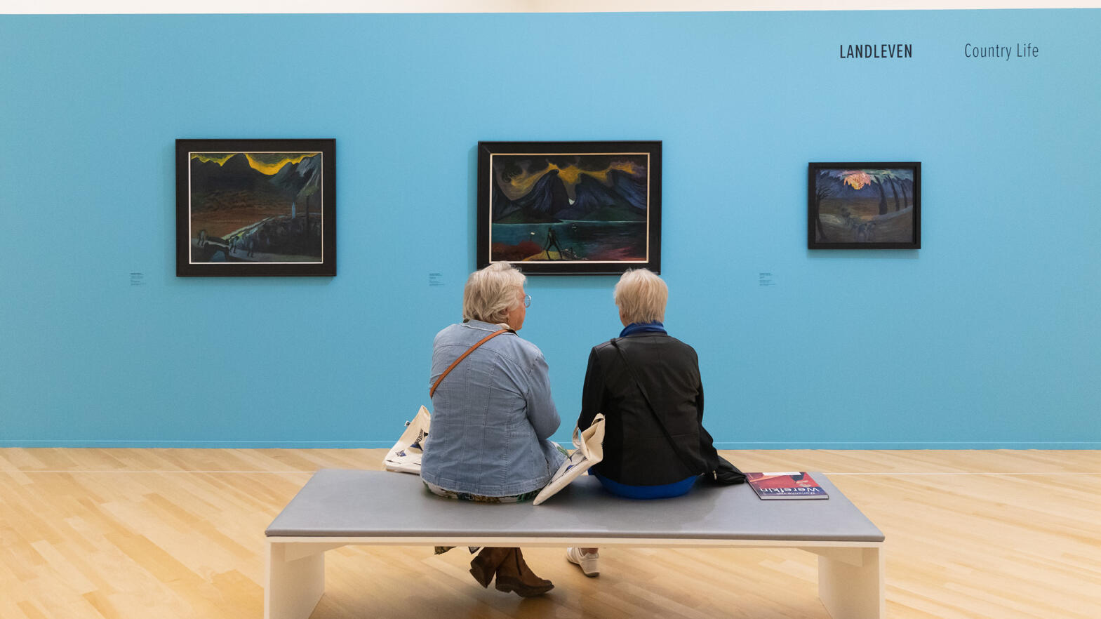 Twee mensen die met hun rug naar ons toe op een bankje zitten. Ze kijken naar een losstaande muur met daarop drie kunstwerken uit de Reset tentoonstelling.